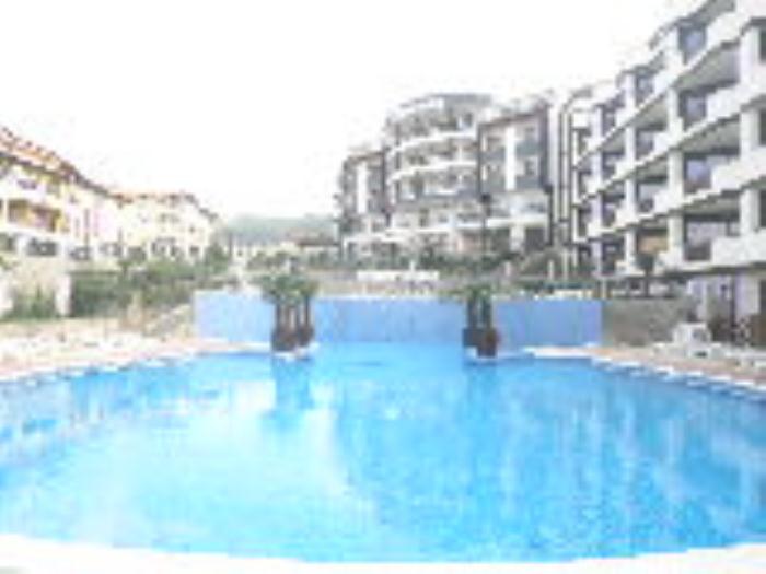 ROYAL PALM
